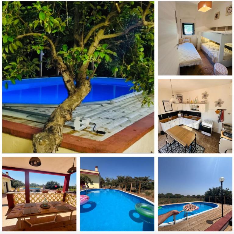 Villa Vallée D Itria - Three-Bedroom Villa - 2