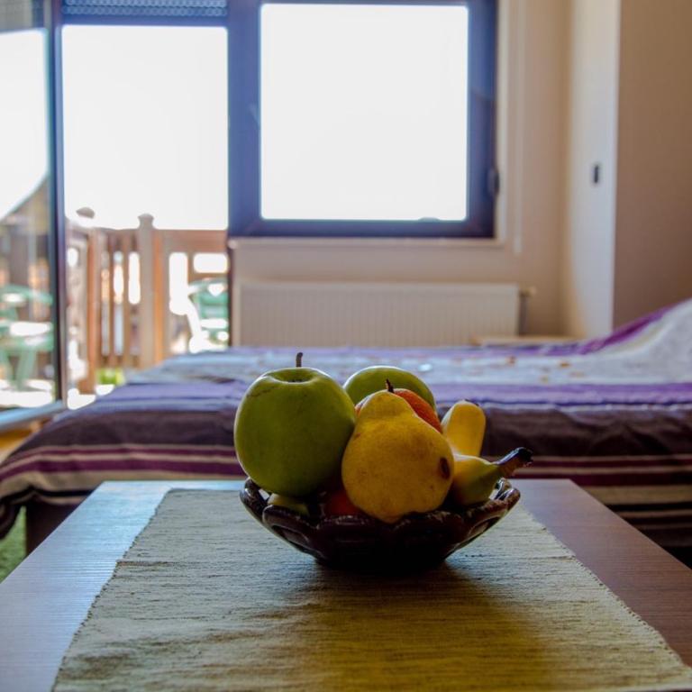 Branka Apartman Zlatibor - Apartman sa 1 Spavaćom Sobom - 8