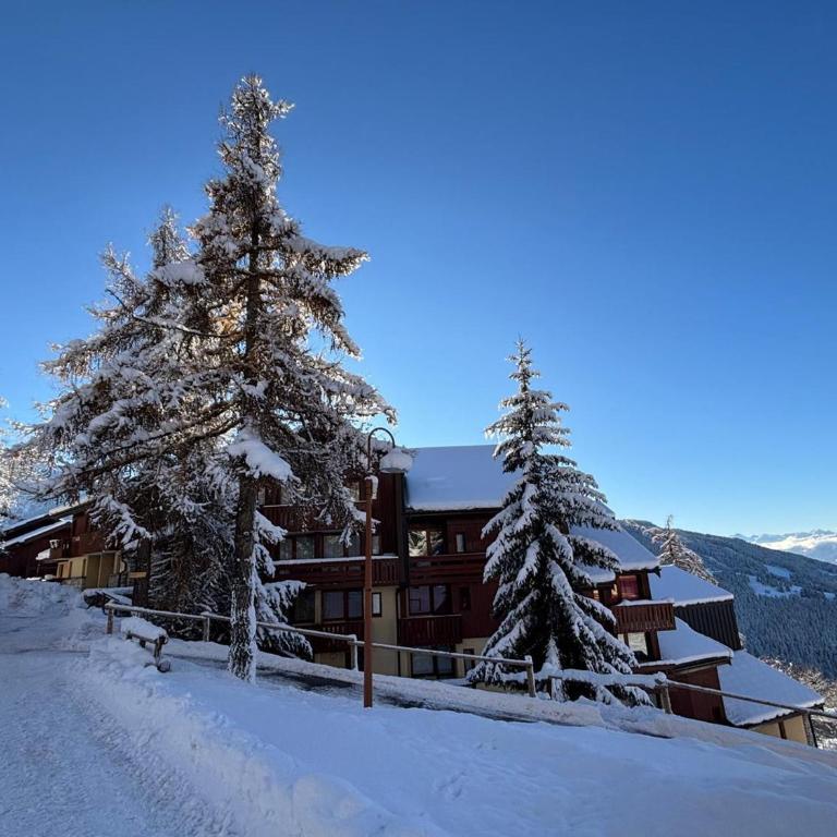 Studio 4 personnes à Vallandry, proche des pistes - FR-1-411-907 - Studio - 18