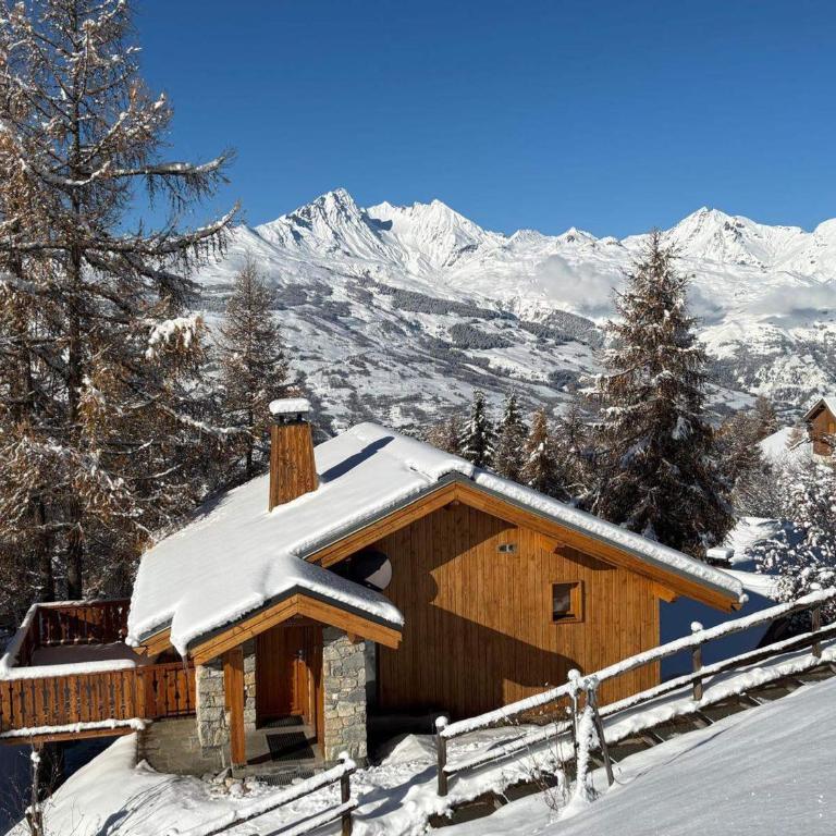 Chalet de charme 6 pers. à Vallandry près des pistes et commerces - FR-1-411-957 - Chalet - 22