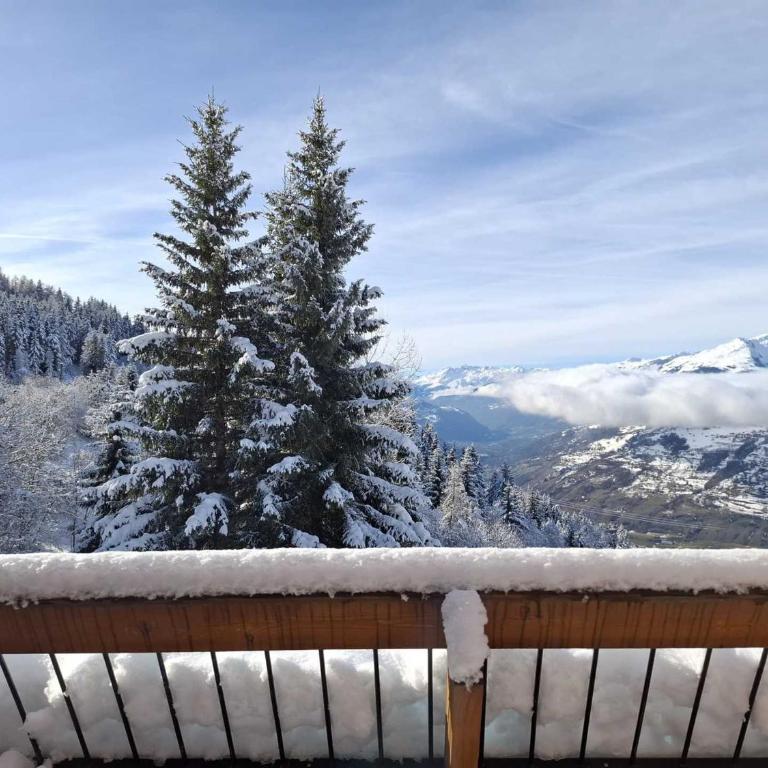 Appartement 6 pers, aux Arcs 1600, avec vue sur vallée - FR-1-411-988 - Appartement - 16