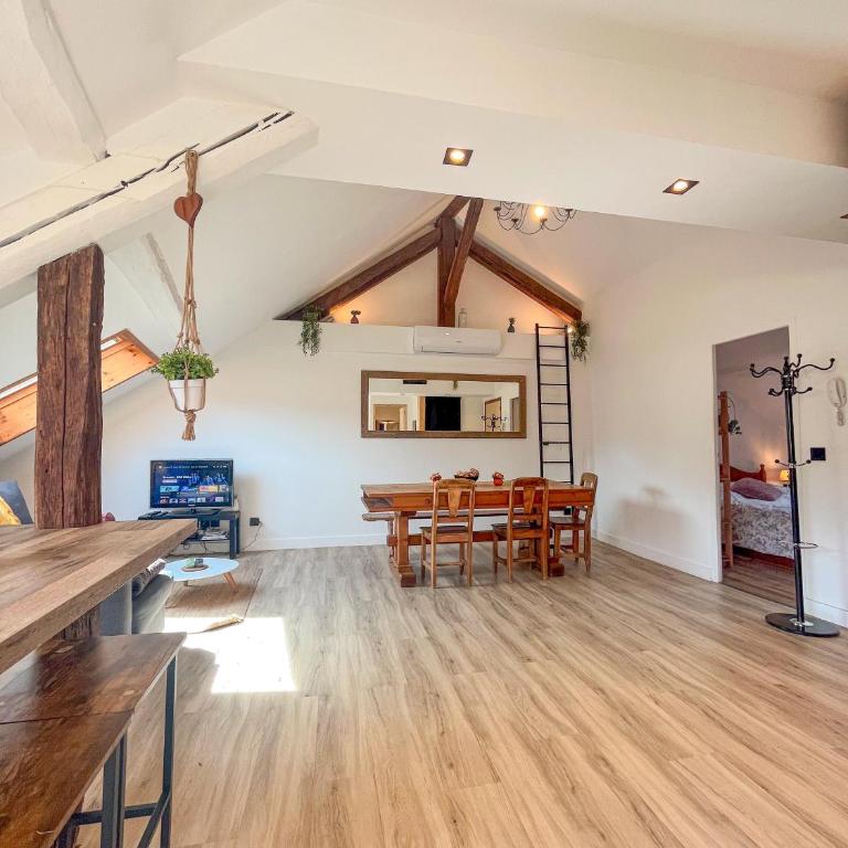 Cocon sous les toits - Appartement 1 Chambre - 7
