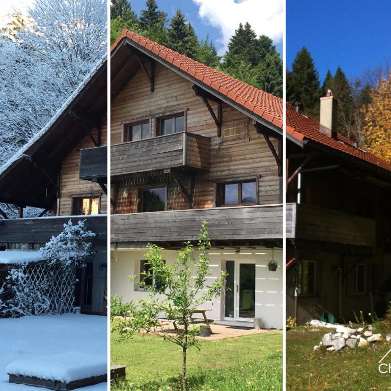 Chalet OTT - apartment in the mountains with sauna - Duplex Apartment - 1