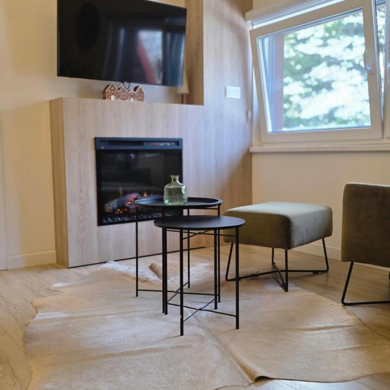 SNJEŽNA ČAROLIJA lux - Apartman sa 1 Spavaćom Sobom - 2
