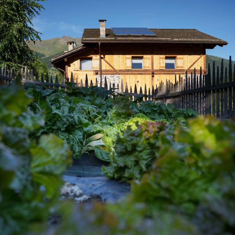 Appartamenti Chalet Canedi - Apartment mit 2 Schlafzimmern - 23