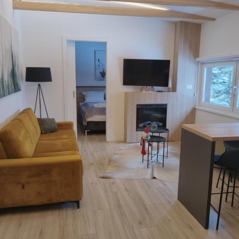 SNJEŽNA ČAROLIJA lux - Apartman sa 1 Spavaćom Sobom - 6