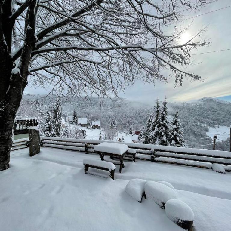 Planinska kuća Savić, Kopaonik - Two-Bedroom House - 16