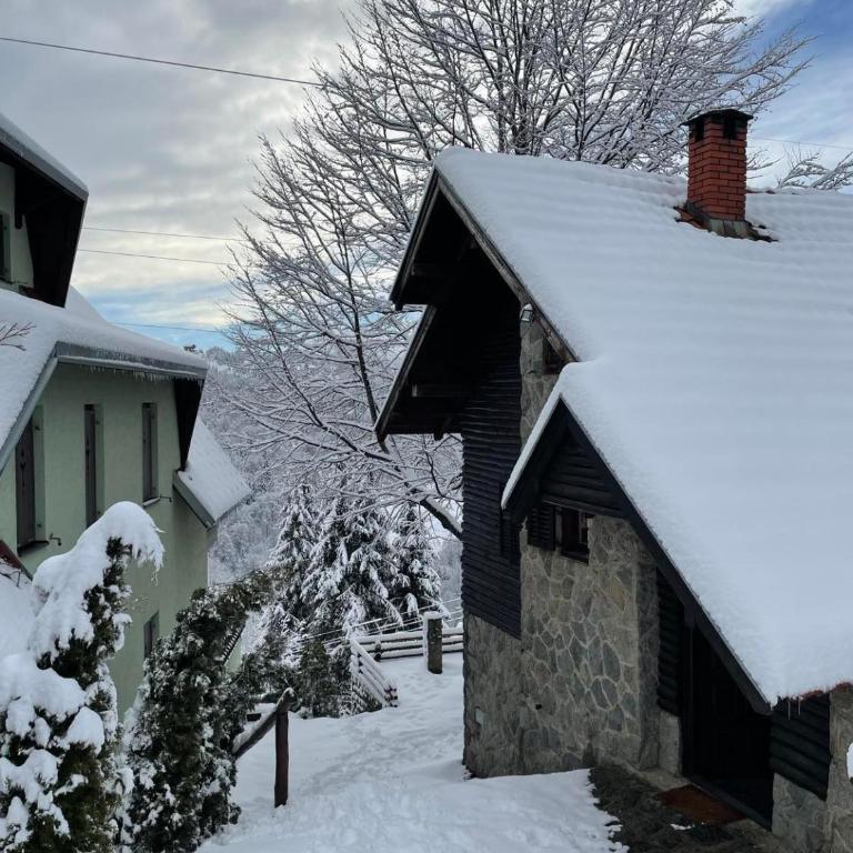 Planinska kuća Savić, Kopaonik - Two-Bedroom House - 15