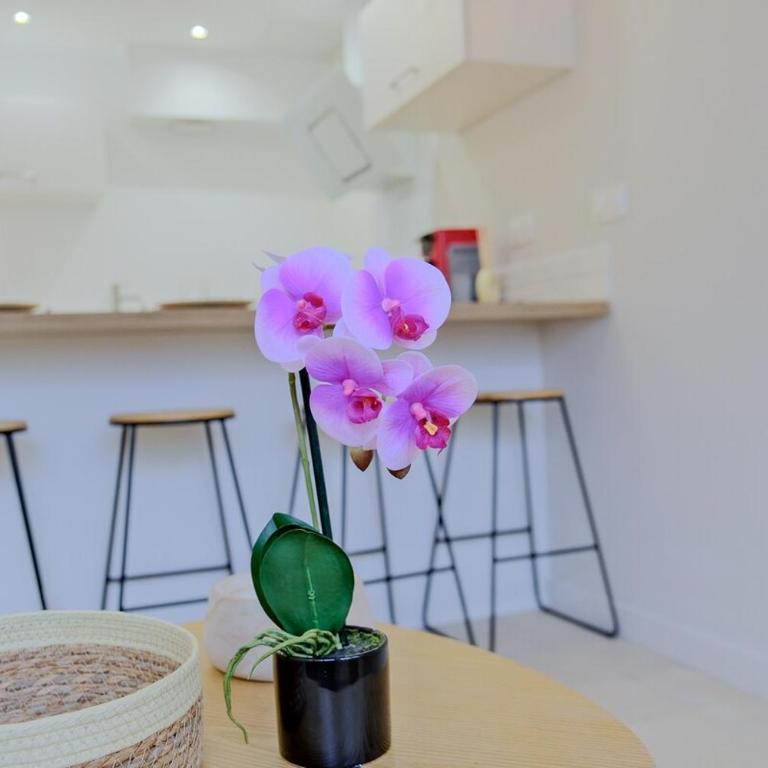La confidence - Apartamento de 1 dormitorio - 17