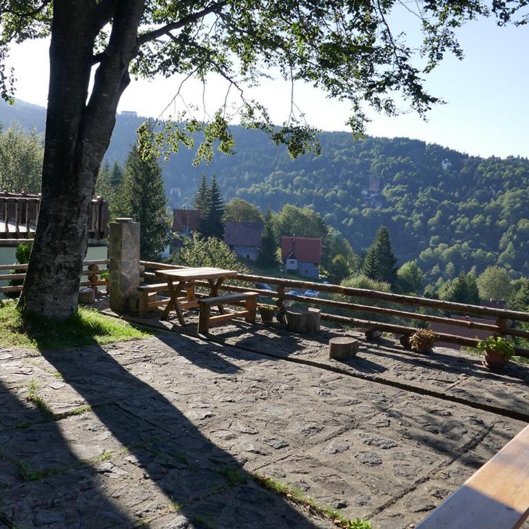 Studio za dvoje u Planinskoj kući Savić - Studio with Mountain View - 8