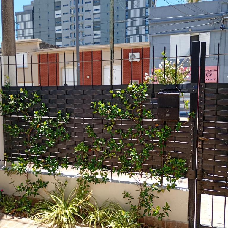 Clarita Expoagro - Apartamento de 1 dormitorio - 2
