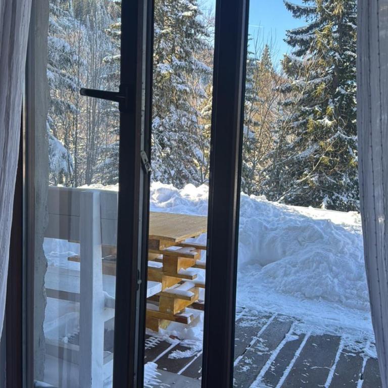 Apartment Stelvio - Apartman sa 1 Spavaćom Sobom - 6