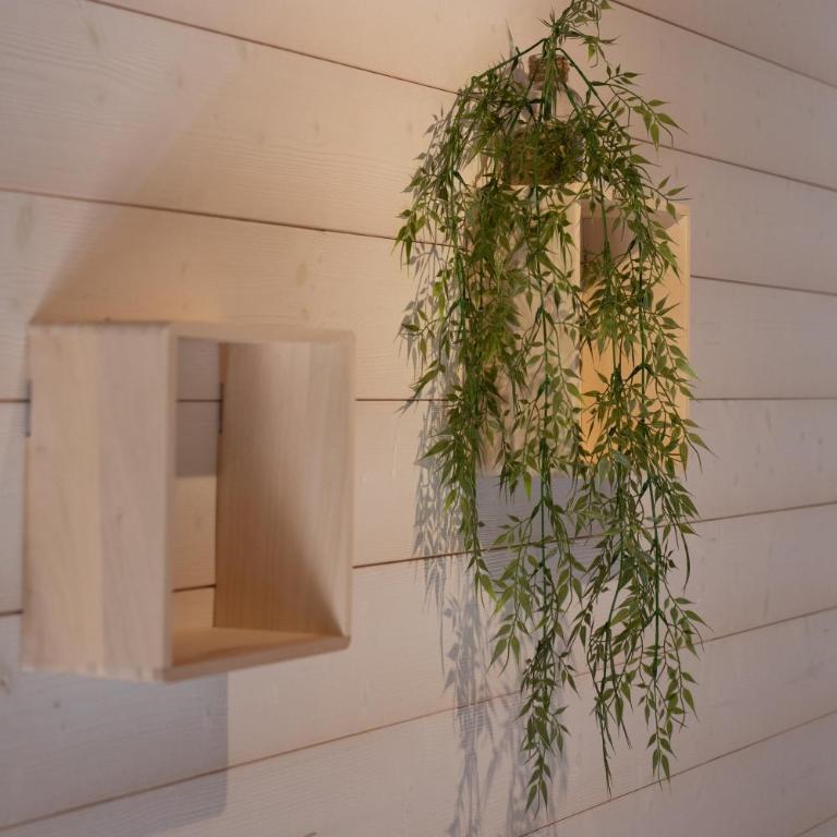 Eco-lodges Lacanau Moutchic Inn - 4 pers - Apartment with Terrace - 37