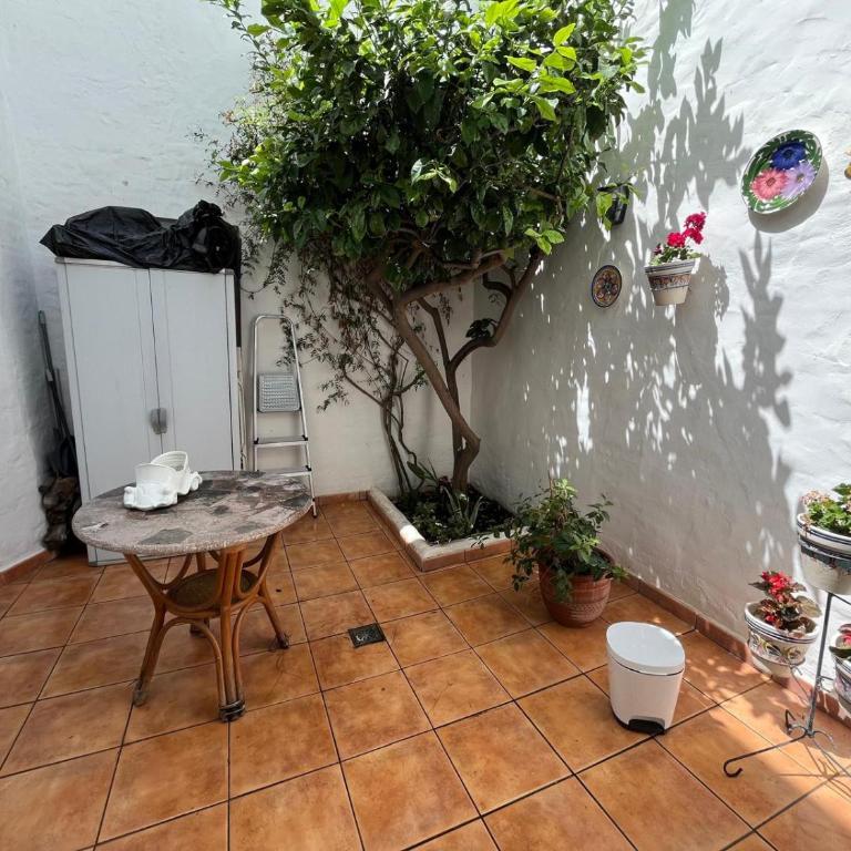 Picasso,20 - Apartamento de 1 dormitorio - 2
