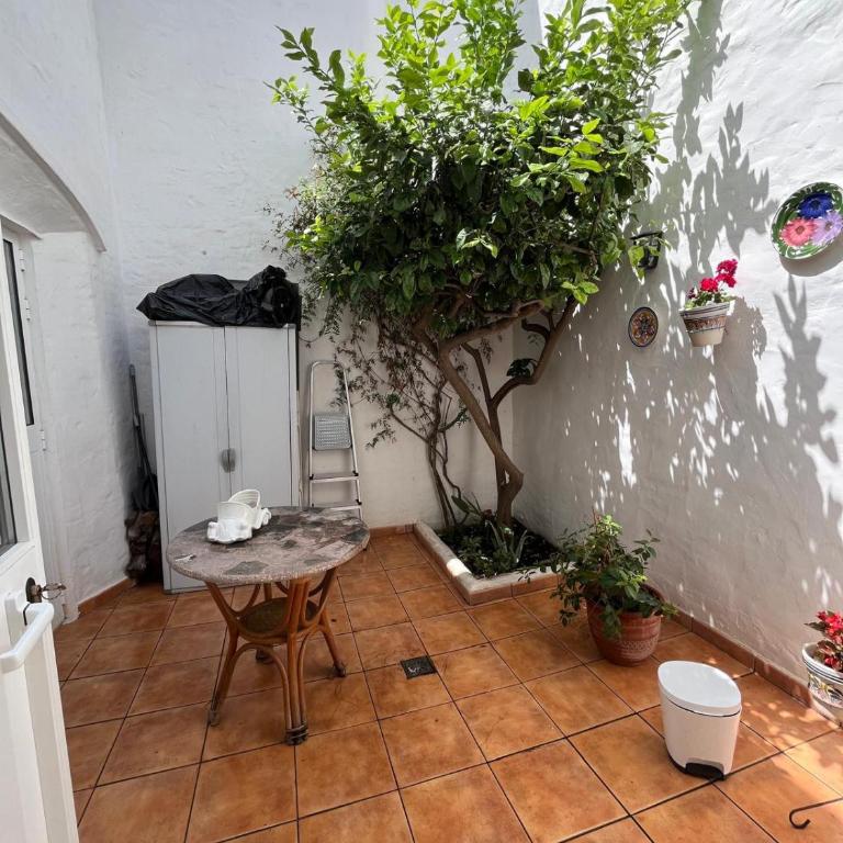 Picasso,20 - Apartamento de 1 dormitorio - 21