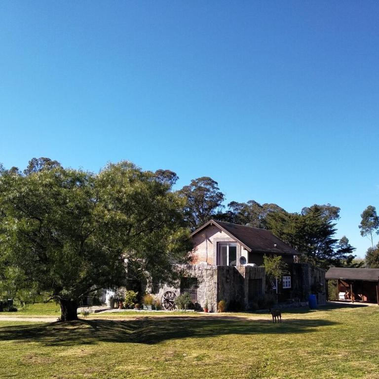 Chacra en Punta del Este - Casa de 4 dormitorios - 8