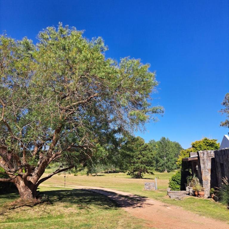 Chacra en Punta del Este - Casa de 4 dormitorios - 22