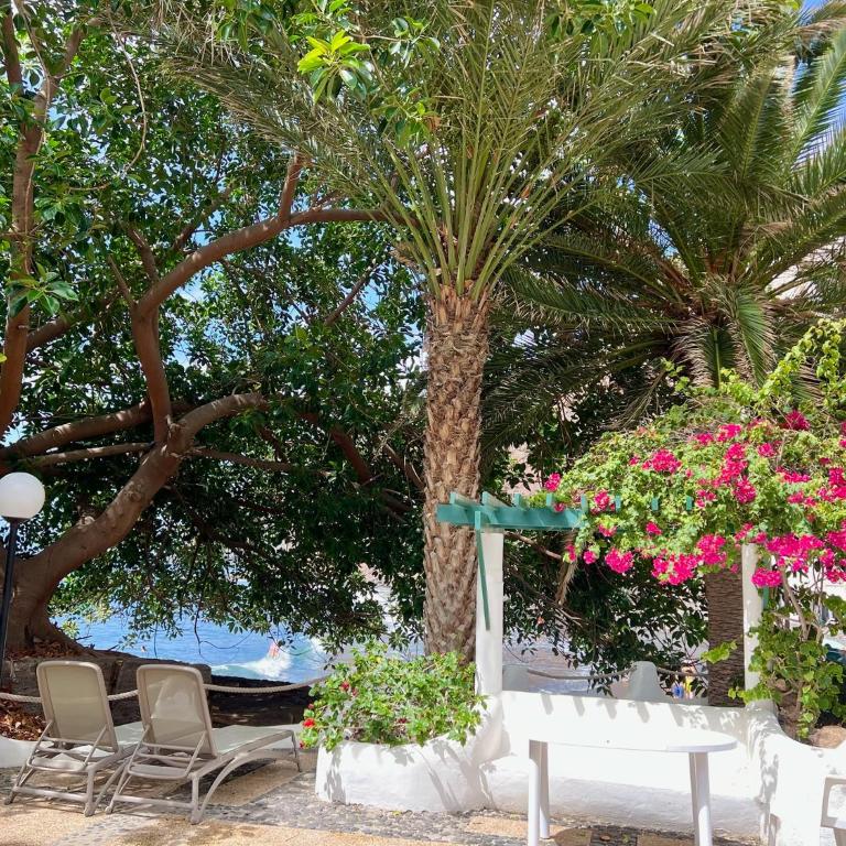Pambnb - Modern Beachfront Apartment Hideaway - Apartamento de 1 dormitorio - 36