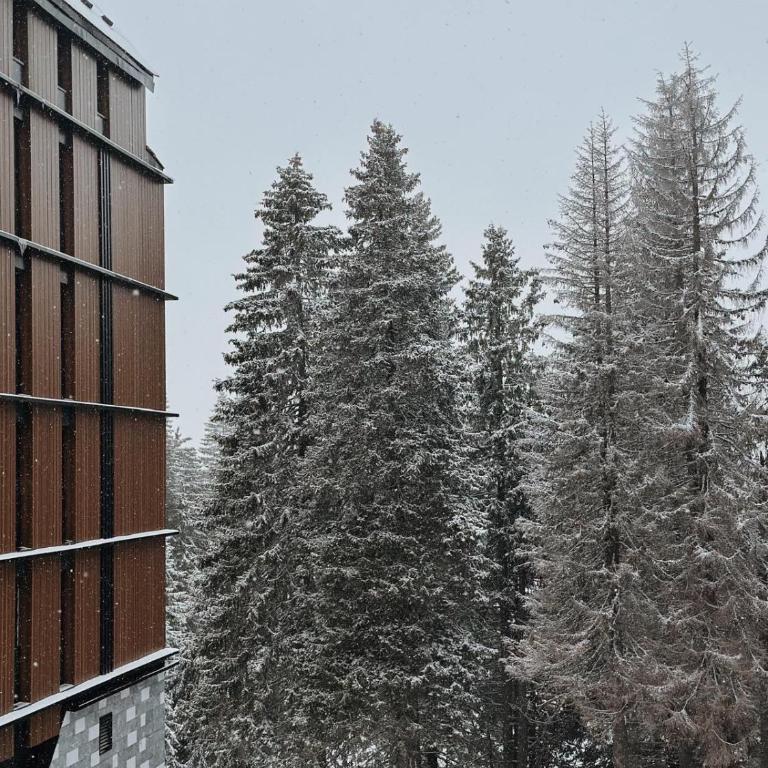Woodside Kopaonik By Gogic - Apartman sa 1 Spavaćom Sobom - 11