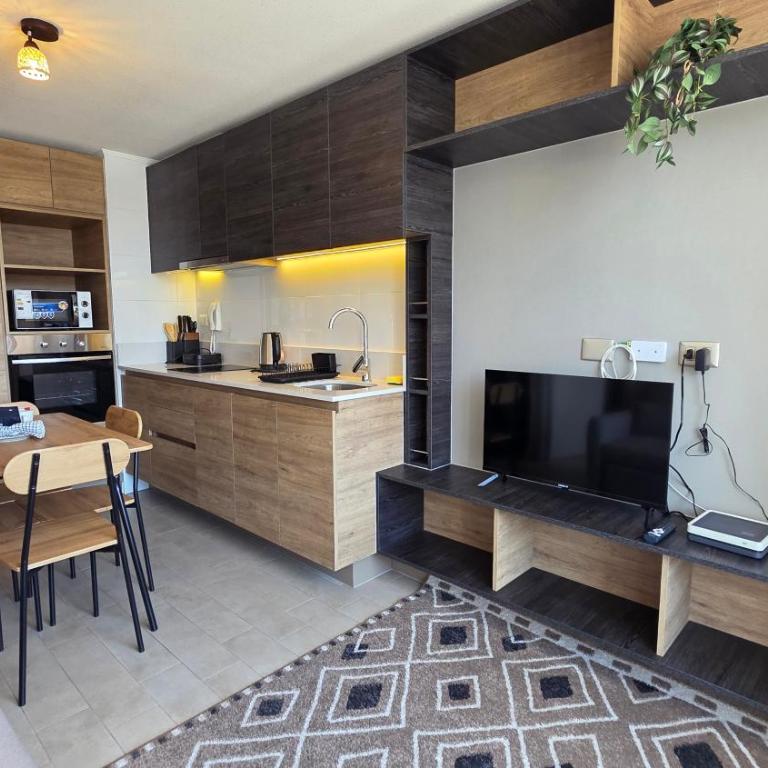 Oceana Suites Santiago Centro Rosas - One-Bedroom Apartment with City View - 5