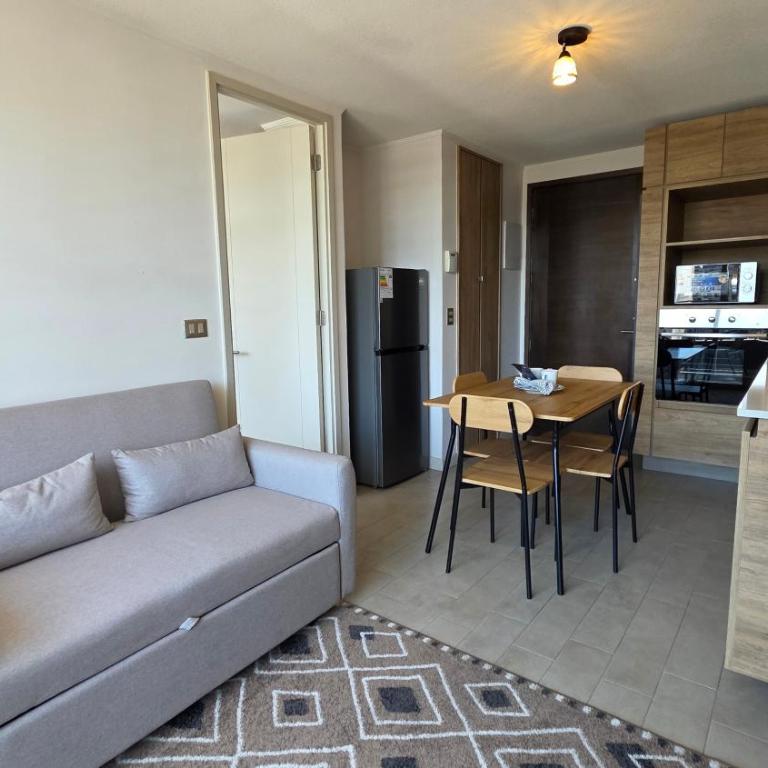 Oceana Suites Santiago Centro Rosas - One-Bedroom Apartment with City View - 6