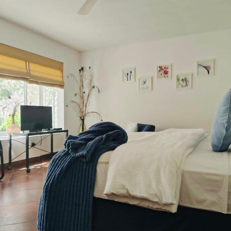 Hotel Los Palomos - Habitación con cama extragrande y vistas a la piscina - 6