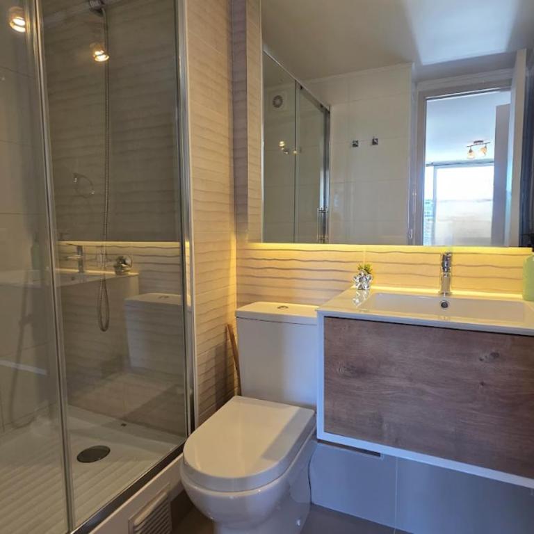 Oceana Suites Santiago Centro Rosas - One-Bedroom Apartment with City View - 12