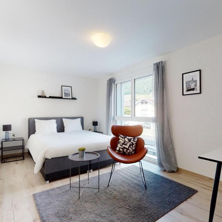 Nonanteneuf appart hōtel Aigle - contactless check-in - Deluxe Studio - 1