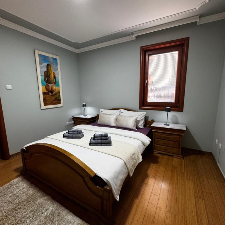 IWA CENTAR Apartments & Wellness - Standardni Apartman sa 1 Spavaćom Sobom - 1