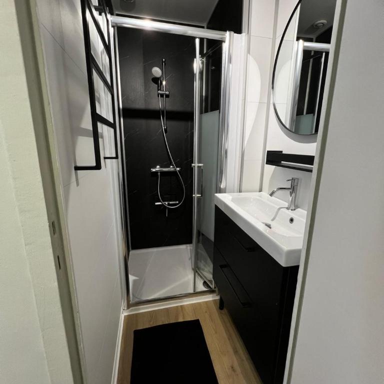 Studio au pied du Vieux-Mans - Monolocale - 9