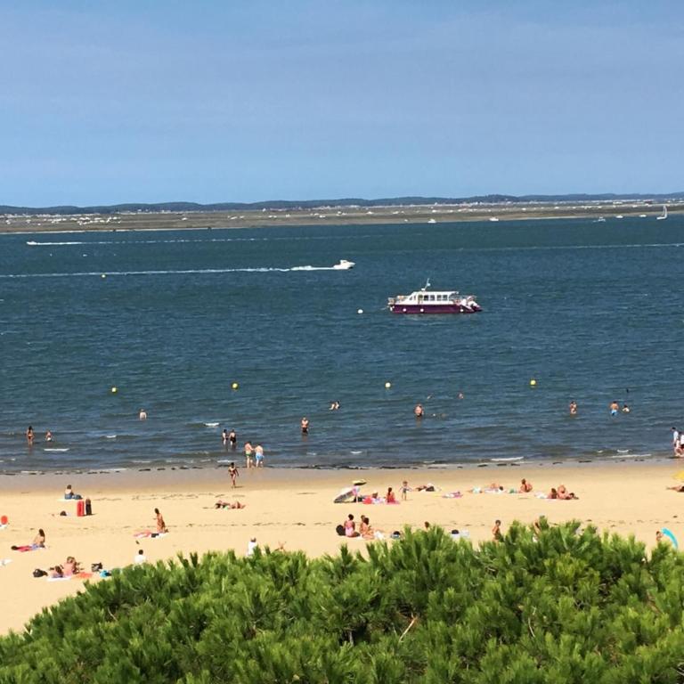 Appartement T3 Centre Arcachon, Vue Bassin, Parking, Animaux OK, Wifi - FR-1-374-74 - Apartment (6 Adults) - 16