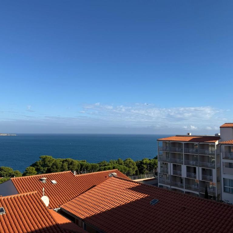 Appartement T2 à Banyuls-sur-Mer avec Wifi et Parking - FR-1-309-30 - Apartment mit 1 Schlafzimmer - 9