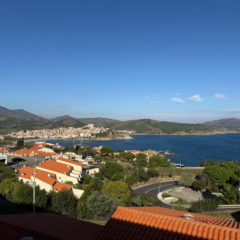 Appartement T2 à Banyuls-sur-Mer avec Wifi et Parking - FR-1-309-30 - Apartment mit 1 Schlafzimmer - 10