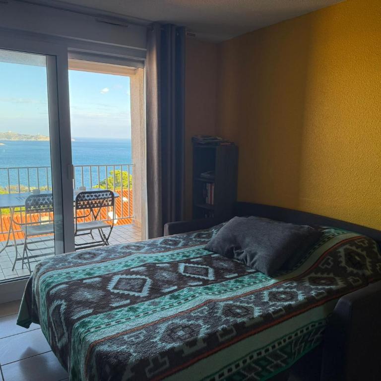 Appartement T2 à Banyuls-sur-Mer avec Wifi et Parking - FR-1-309-30 - Apartment mit 1 Schlafzimmer - 14