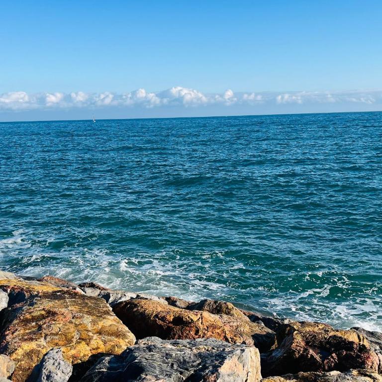 Saint-Cyprien : T2 avec Terrasse, Clim et Parking, Près de la Plage - FR-1-309-470 - Apartment - 18