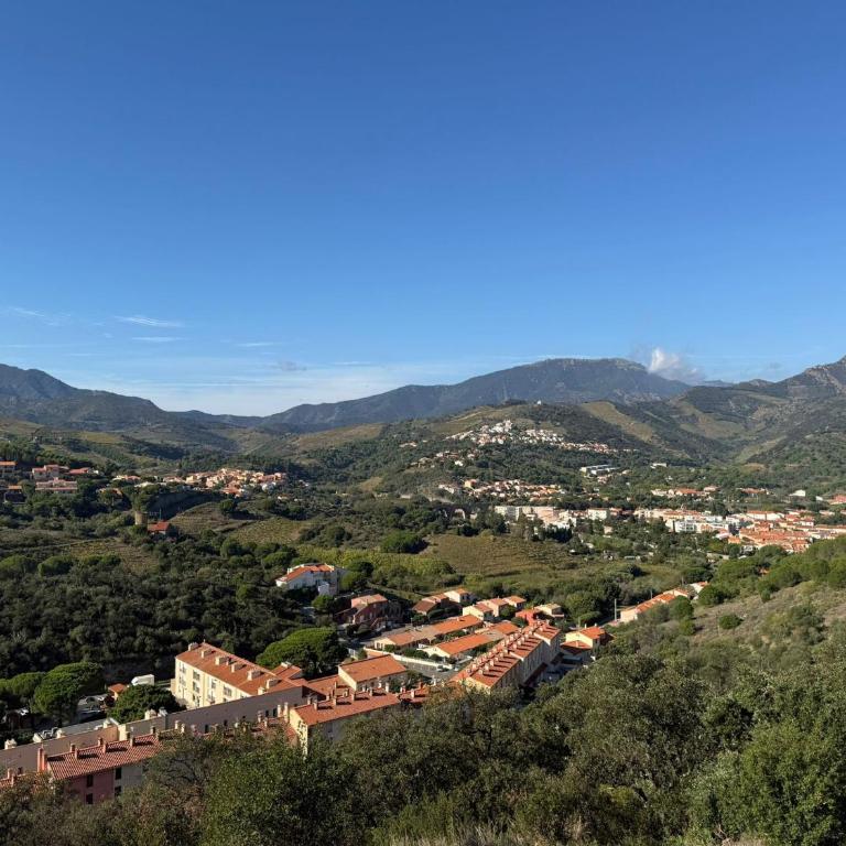 Appartement 3 pièces avec terrasse et WIFI à Banyuls-sur-Mer - FR-1-309-459 - Apartamento de 2 dormitorios - 6