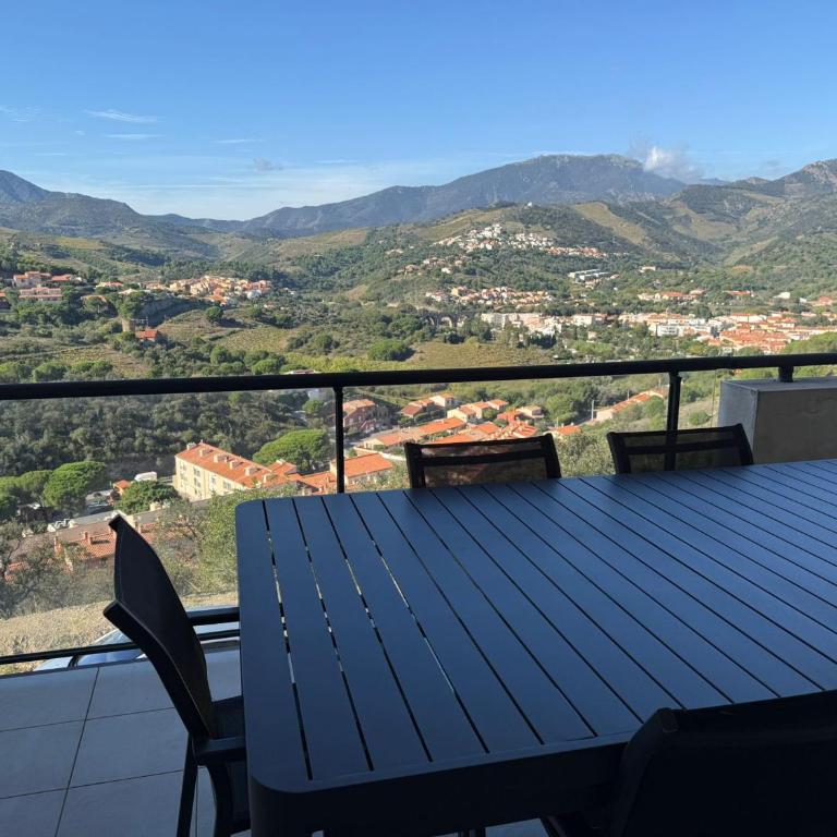 Appartement 3 pièces avec terrasse et WIFI à Banyuls-sur-Mer - FR-1-309-459 - Apartamento de 2 dormitorios - 7