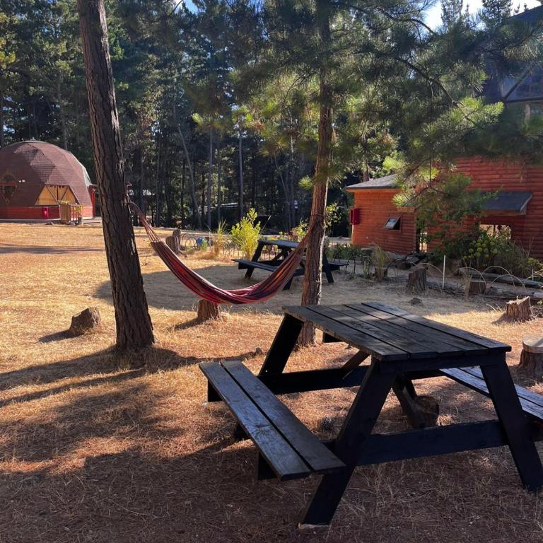 Domo Algarrobo 2 - Apartamento de 1 dormitorio - 14