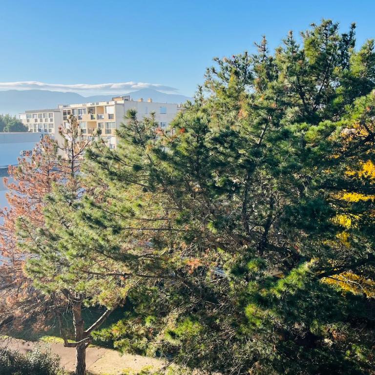 Appartement T3 à 300m des plages avec parking et terrasse - FR-1-309-414 - Apartment - 15