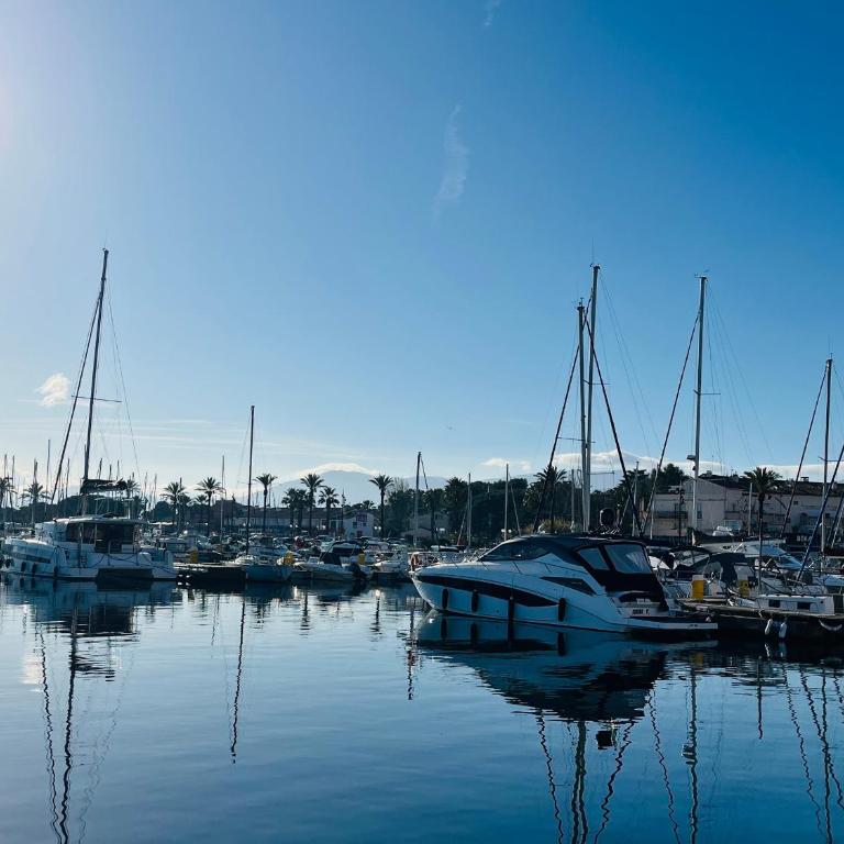 Appartement T3 au Port de Saint-Cyprien avec Terrasse et Climatisation - FR-1-309-483 - Apartment - 12