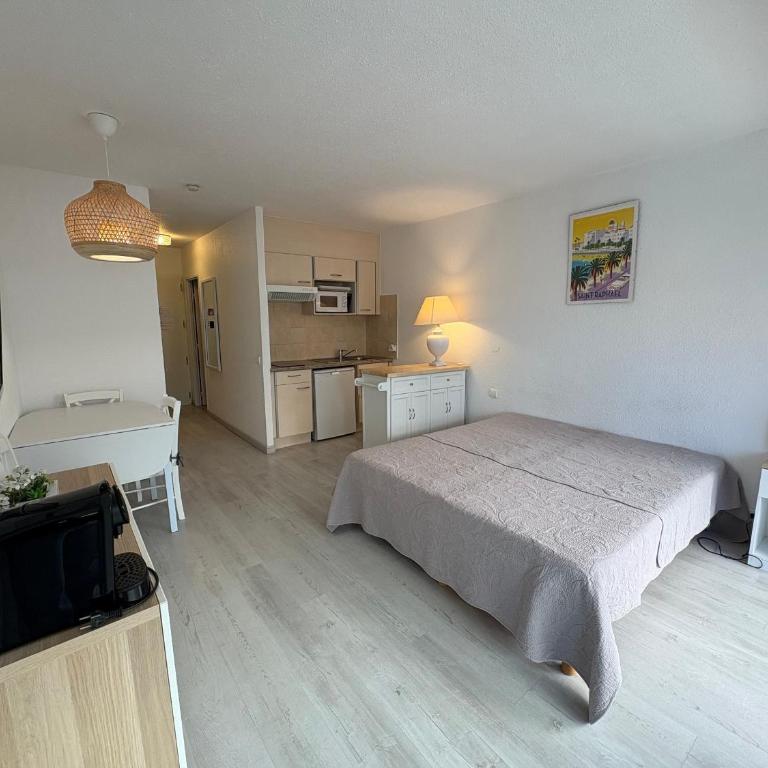 Studio climatisé 2/3 pers proche plage et commerces, balcon, Wi-Fi, parking dispo - FR-1-466A-7 - Studio - 5