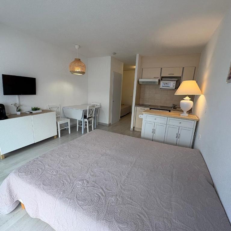 Studio climatisé 2/3 pers proche plage et commerces, balcon, Wi-Fi, parking dispo - FR-1-466A-7 - Studio - 8