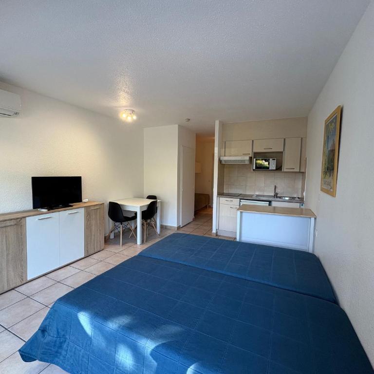 Studio idéal centre-ville St-Raphaël, climatisé, proche plage et commerces, balcon, WI-FI, parking optionnel - FR-1-466A-35 - Studio - 8