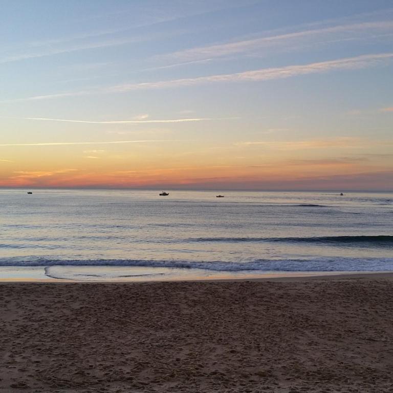 Charmant T3 de standing à Capbreton, jardin, 3 chambres, terrasse couverte, proche port et plages - FR-1-239-484 - Appartement 3 Chambres - 19