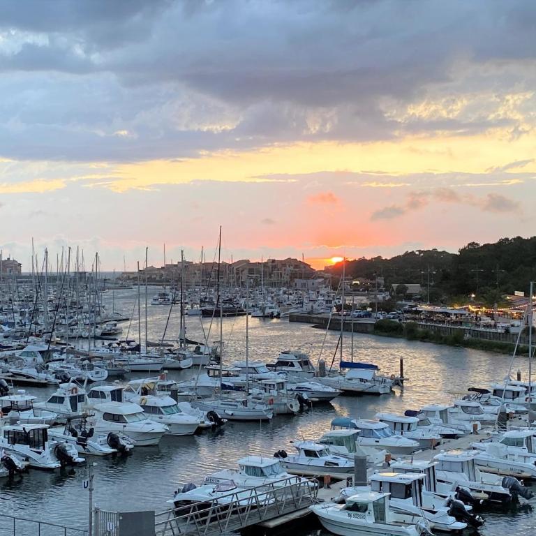 Appartement chaleureux 6 pers près mer avec parking et wifi - FR-1-239-1114 - Appartement 2 Chambres - 18