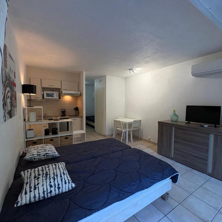 Studio climatisé 2/3 pers, proche plage & centre-ville, WiFi gratuit, parking & linge en option - FR-1-466A-44 - Studio - 9