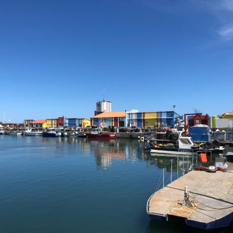 Le Barcarès - Villa T3 Coquette - Résidence Calme - Proche Plage, Port, et Village - Parking Privé - FR-1-799-38 - Villa - 18