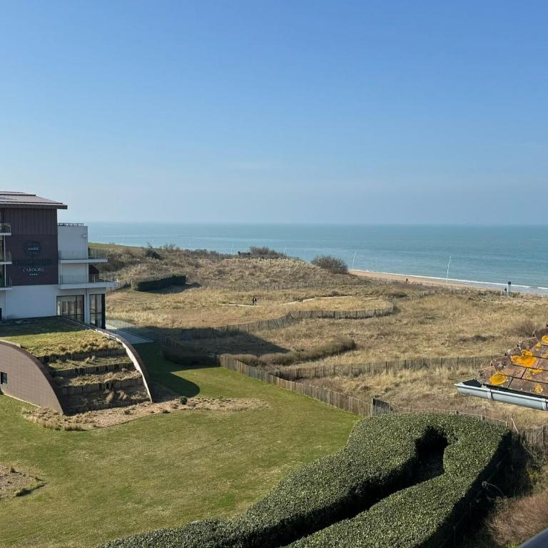 Appartement 2 pièces accès direct plage, animaux acceptés, Wifi - FR-1-487-378 - Apartment - 12