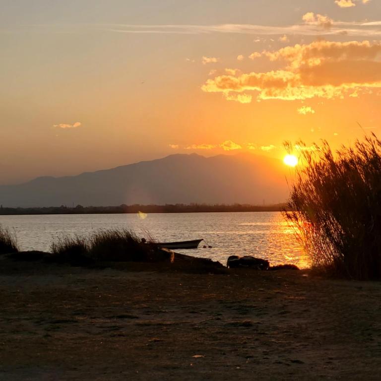 Canet Sud - T2 cabine 4/6 pers - Terrasse - Accès direct plage - FR-1-794-121 - Apartamento - 19