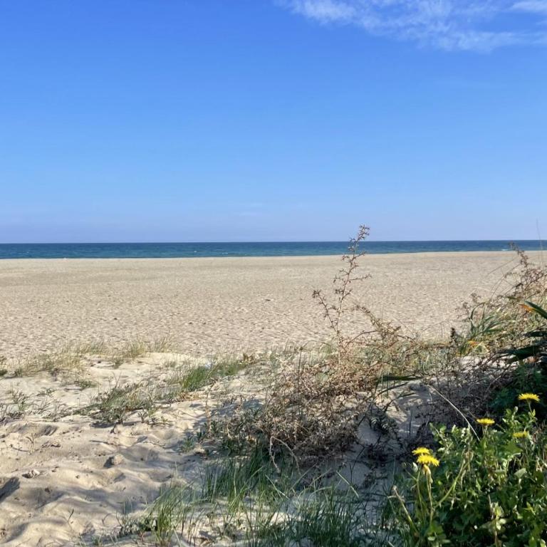 Appartement 2 pièces avec piscine et parking, accès direct plage - FR-1-748-27 - Appartamento - 21